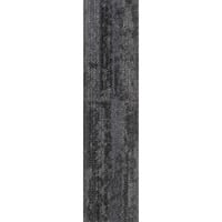 Aristoteles 06 (25×100)