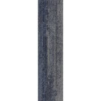 Aristoteles 07 (25×100)