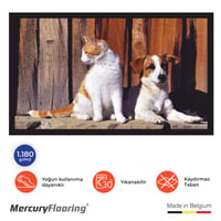 Cat & Dog Velvet Paspas – Dijital Baskılı Şık ve Eğlenceli Giriş Paspası 45×75