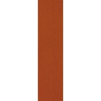 Darwin 32 (25x100cm)