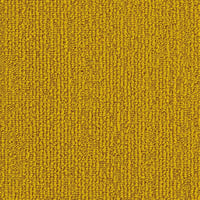 Darwin 33 (25x100cm)