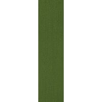 Darwin 34 (25x100cm)