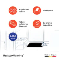 Starlight 04 Antrasit Kapı Önü Nem Ve Toz Alıcı Paspas 40×60