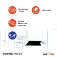 Starlight 10 Yeşil Kapı Önü Nem Ve Toz Alıcı Paspas 40×60