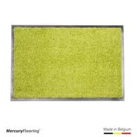 Wash & Clean Yeşil Kapı Önü Nem Ve Toz Alıcı Paspas 40 x 60