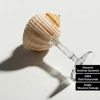 Maris Aurora II - Altın Dokunuşlu El Yapımı Deniz Kabuğu Kadeh