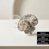 Zarel Myra Kadeh - Klasik Zarafetin Deniz Kabuğundaki Yorumu