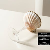Zarel Vera Kadeh - Tavus Kuşu Işıltısıyla Tasarlanmış Gösterişli Kadeh