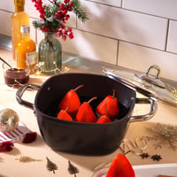 SCHAFER TENCERE GASTRONOMIE MASTER GRANİT DERİN 22CM