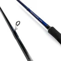 Daiwa Team Daiwa 244cm 7-28gr 2P Spin Kamışı 
