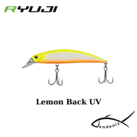 Ryuji Faster 8cm 13gr Maket Yem
