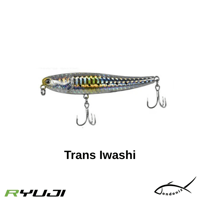 Ryuji Splash 8cm 8gr-Trans Iwashi