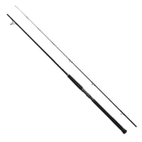 Shimano Currentsniper BB Shore Jigging 305cm 65g JIG80g 2pc
