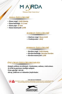 Fonksiyonlu Gümüş-Altın Renk 10 ATM Su Geçirmezlik Çelik Kasa Erkek Kol Saati 2540MR