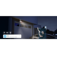 REOLINK-P437