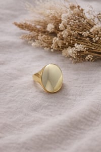 Modern Form Ayarlanabilir Yüzük Gold