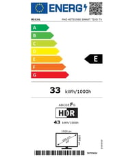 REGAL FHD 40T01900 SMART TV