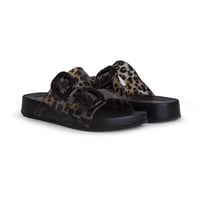 Igor Habana Brillo Leo Kadın Siyah Leopar Desenli Terlik S10336-002