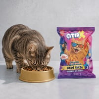 ÇıtırX Kedi Cipsi 40 Gr.