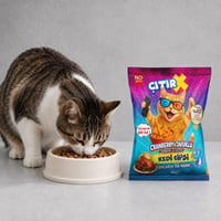 Kedi Cipsi Cranberry & Tavuklu 40 Gr.