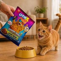 Kedi Cipsi Cranberry & Tavuklu 40 Gr.