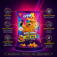 Kedi Cipsi Kinoa & Somonlu 40 Gr.