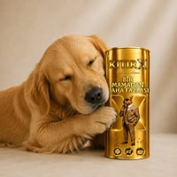 KıtırX Premium Kedi Maması - 1 Kg. - Taşınabilir Kapaklı Charm & Mama Kabı Hediyeli