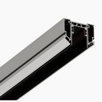 Magnet Ray Gergi Tavan