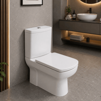 Kale Basics Smart Duvara Sıfır Klozet-Duvara Sıfır Klozet-310200100065-Kale