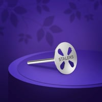 PODODISC STALEKS PRO M Uzatılmış Pedikür Disk (20 mm), 180 Grit Törpüler Set İle (5 Adet)