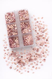 Rose Gold Celestial Mix Nail Glitter Box