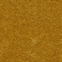 DUVARDAN DUVARA HALI