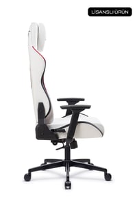 Fanchair x Beşiktaş 1903 Lisanslı Taraftar Koltuğu