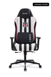 Fanchair x Beşiktaş Çubuklu Lisanslı Taraftar Koltuğu