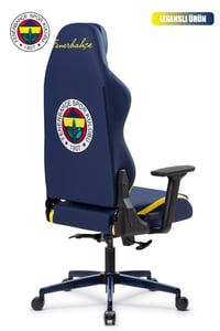 Fanchair x Fenerbahçe 1907 Lisanslı Oyuncu Koltuğu