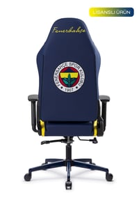 Fanchair x Fenerbahçe 1907 Lisanslı Taraftar Koltuğu