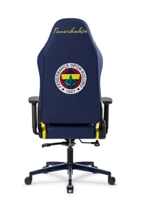 Fanchair x Fenerbahçe 1907 Taraftar Koltuğu