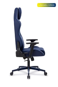 Fanchair x Fenerbahçe Arma Lisanslı Taraftar Koltuğu