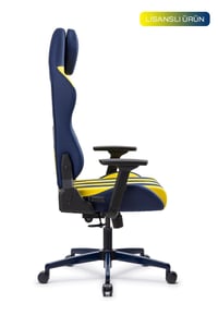 Fanchair x Fenerbahçe Çubuklu Lisanslı Taraftar Koltuğu