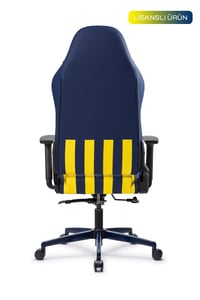Fanchair x Fenerbahçe Çubuklu Lisanslı Taraftar Koltuğu