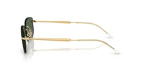 Ray-Ban RB 3768 001/71 56 Unisex Güneş Gözlüğü 