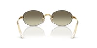 Ray-Ban RB 3929 001/71 54 Unisex Güneş Gözlüğü 