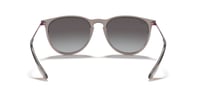 Ray-Ban RB 4171 65138G 54  Unisex Güneş Gözlüğü