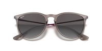 Ray-Ban RB 4171 65138G 54  Unisex Güneş Gözlüğü