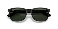 Ray-Ban RB 4202 606971 55 Erkek Güneş Gözlüğü