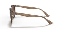 Ray-Ban RB 4305 616613 53 Kadın Güneş Gözlüğü 