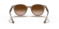 Ray-Ban RB 4305 616613 53 Kadın Güneş Gözlüğü 