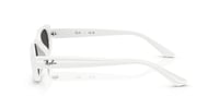 Ray-Ban RB 4441D 677287 53 Kadın Güneş Gözlüğü 