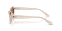 Ray-Ban RB 4457D 678673 55 Kadın Güneş Gözlüğü 