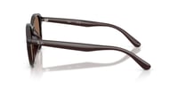Ray-Ban RB 4459D 623173 54 Unisex Güneş Gözlüğü 